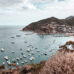 Catalina Day Trip