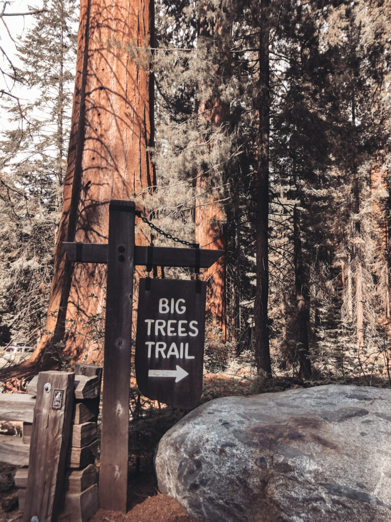 Big Trees Trail, General Sherman Tree, Moro Rock