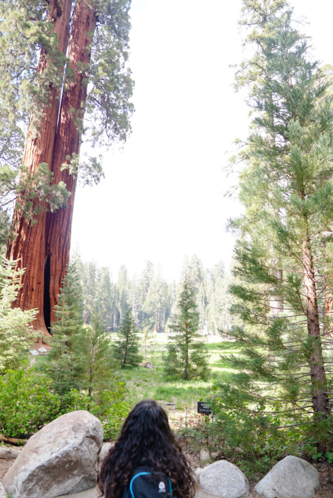 Moro Rock, Big Trees Trail, Tunnel Log, General Sherman Tree