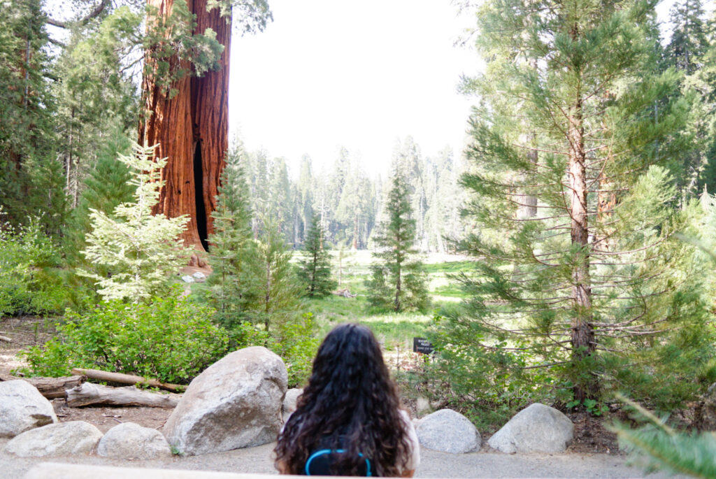 Things to do in Sequoia National Park, Moro Rock, Tunnel Log, Big Trees Trail, General Sherman Tree