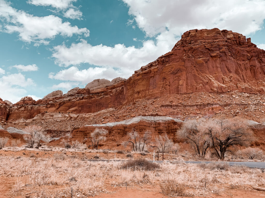 A Day in Capitol Reef