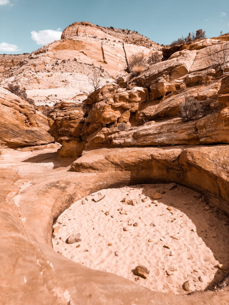 A Day in Capitol Reef